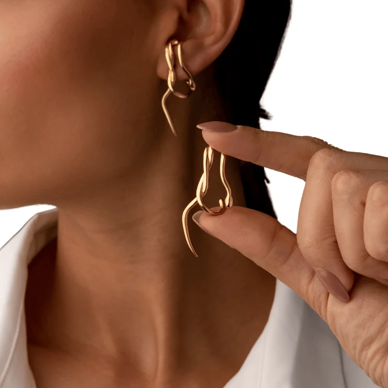 Imagem Brincos E Argolas